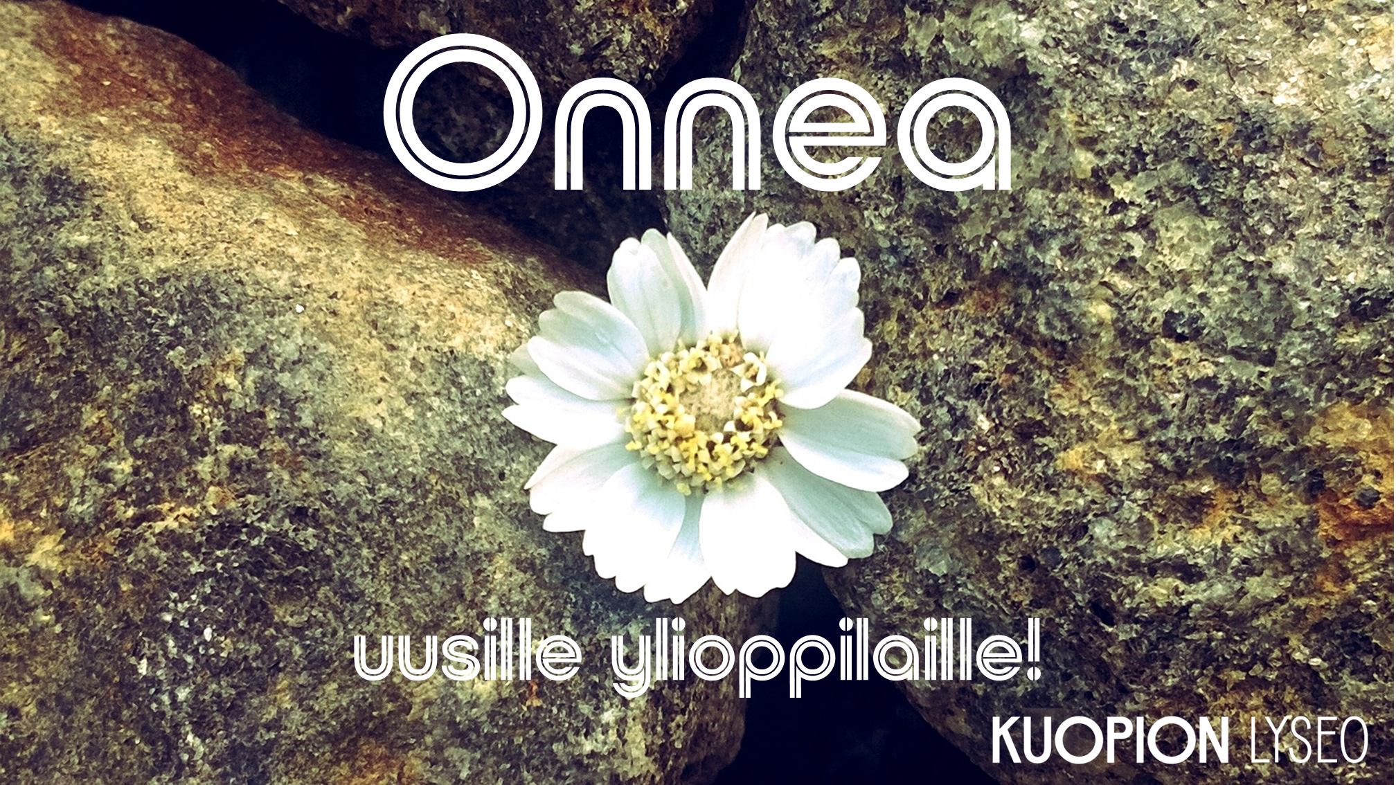 Onnea uusille ylioppilaille!