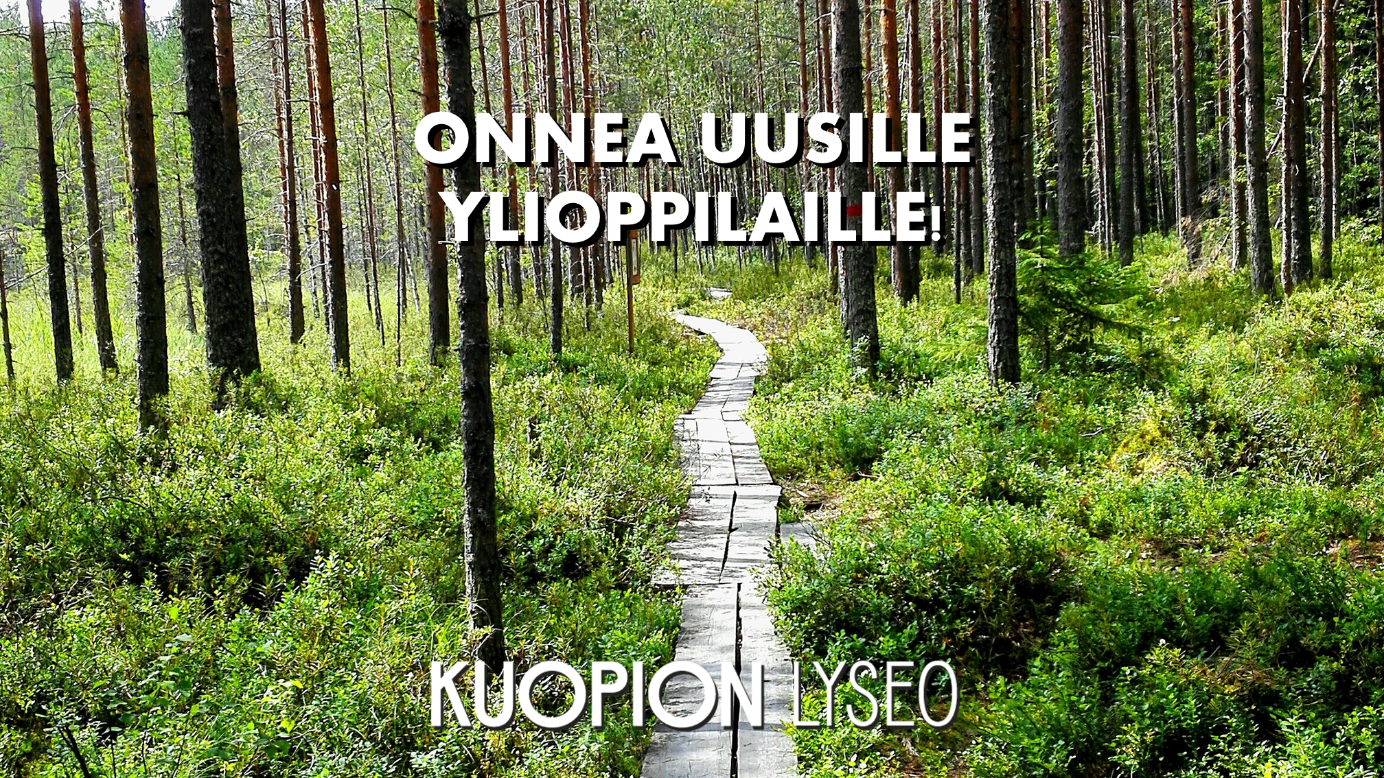 Onnea uusille ylioppilaille!