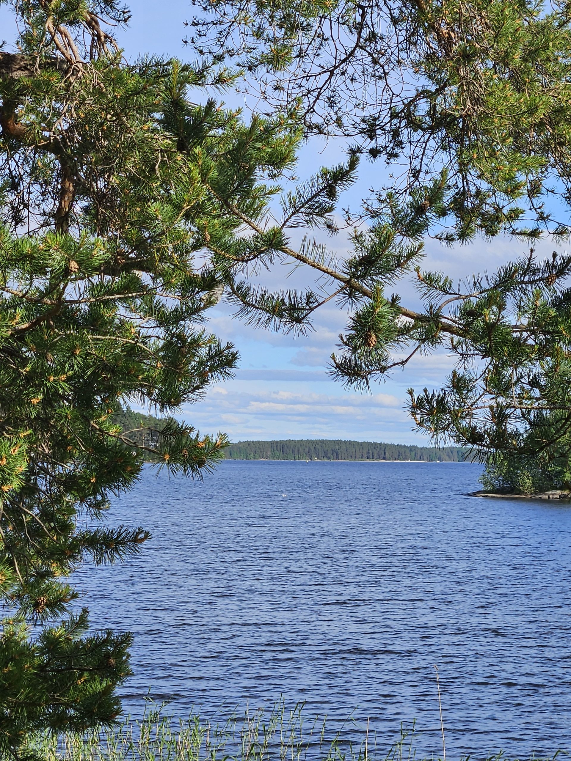 Lyseon hallintoväki lomailee
